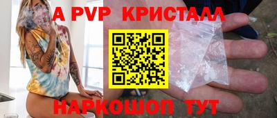хмурый Кингисепп