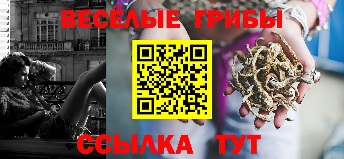 Псилоцибиновые грибы мухоморы  Галлюциногенные грибы GOLDEN TEACHER  Вход с VPN  Лыткарино 