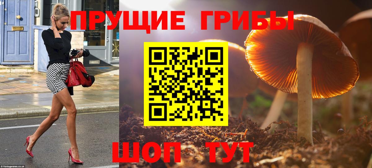 Псилоцибиновые грибы Magic Shrooms Лыткарино